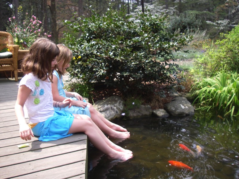 discovery play gardens water gardens ponds experiential landscapes